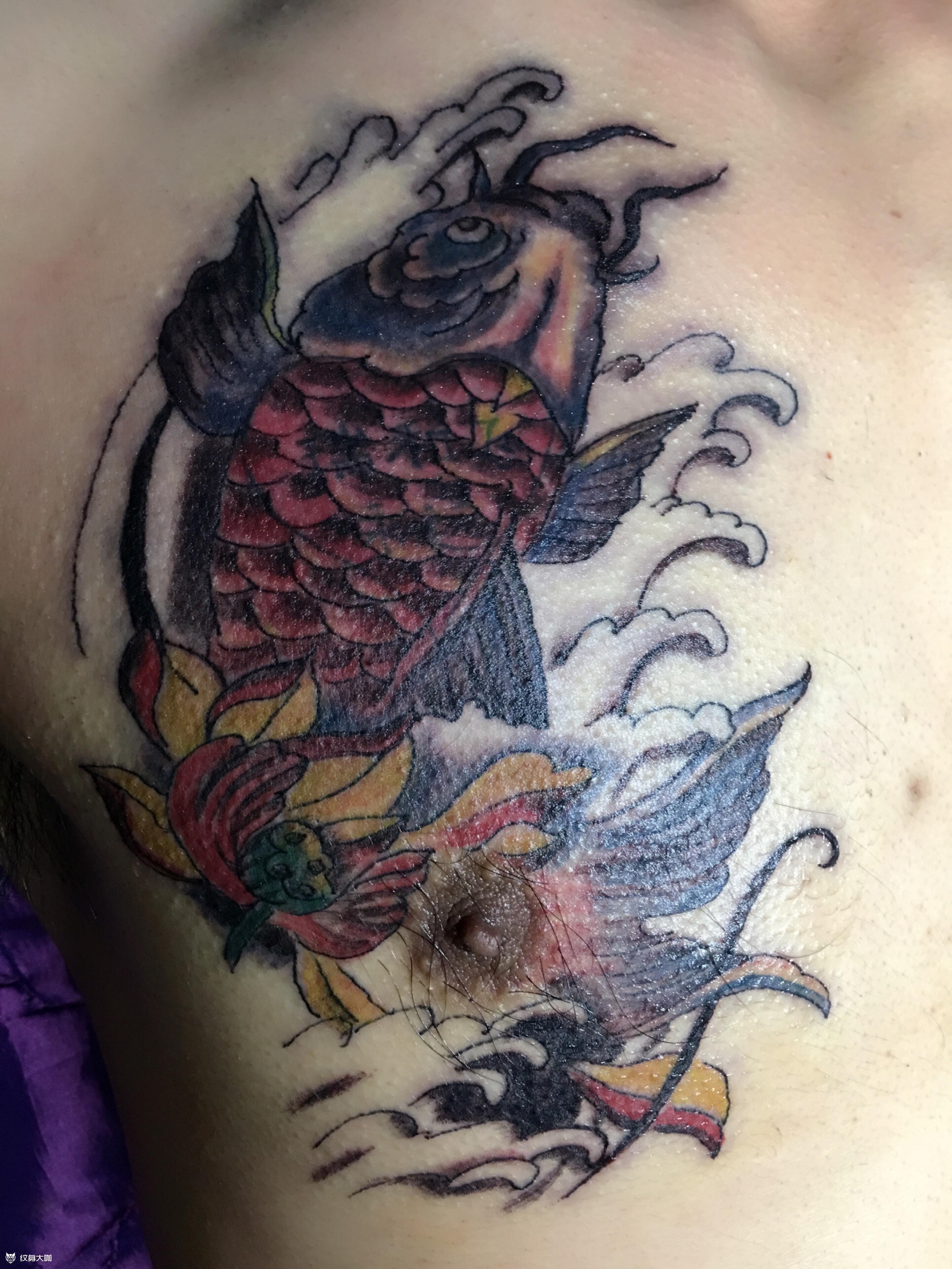 鲤鱼莲花复盖_纹身图案手稿图片_金剪刀纹身的纹身作品集
