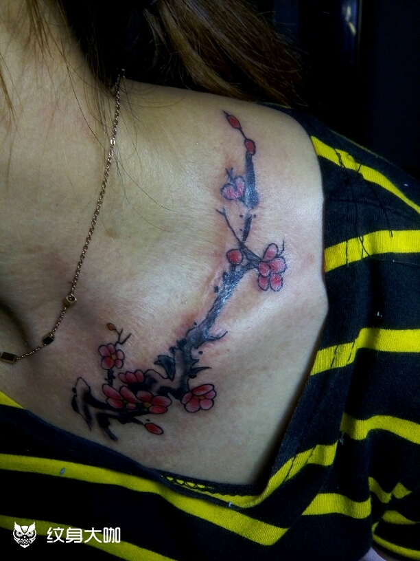 盖疤梅花_纹身图案手稿图片_海墨纹身工作室的纹身作品集