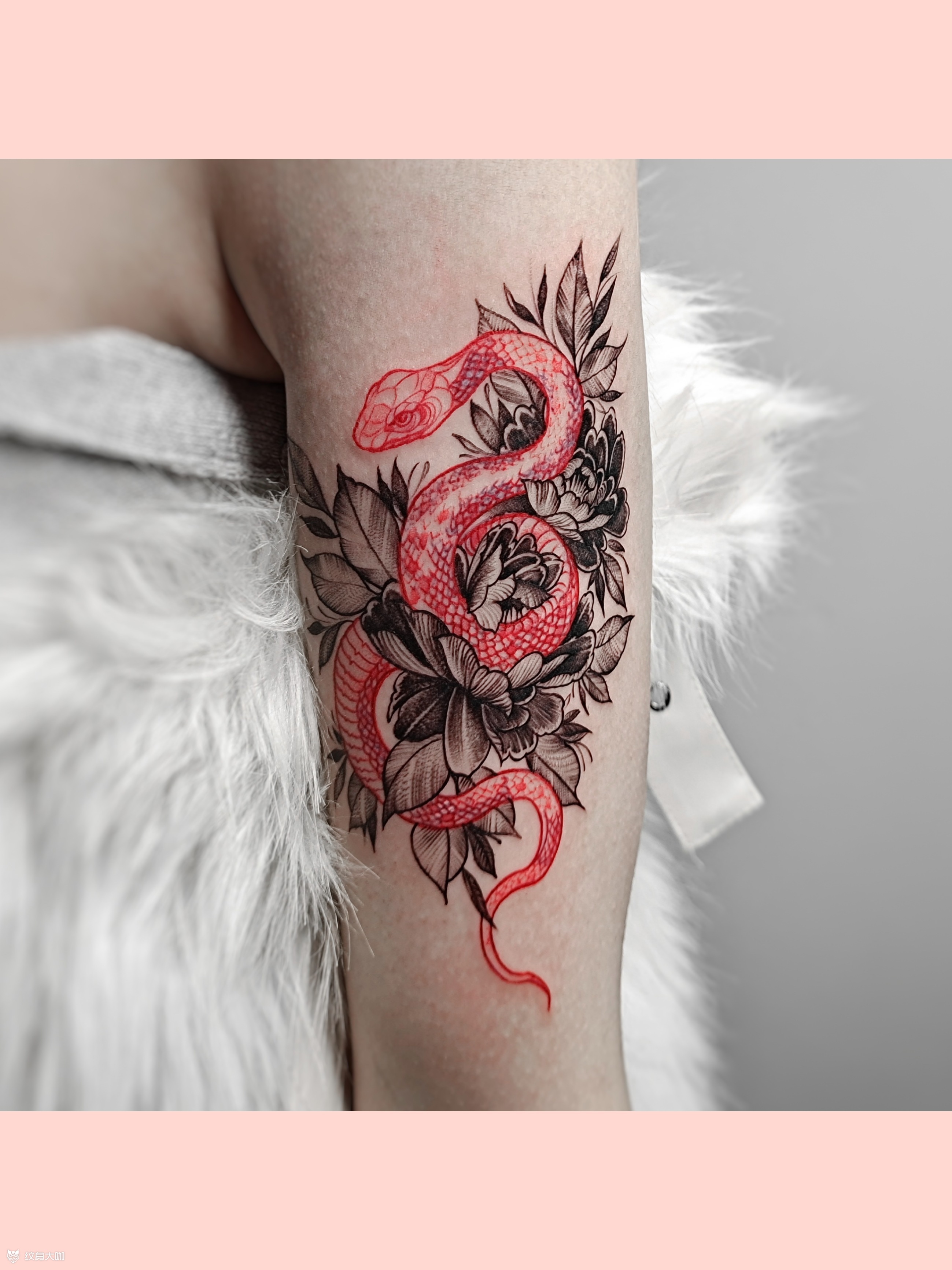 花与蛇_纹身图案手稿图片_是小雪啦的纹身作品集