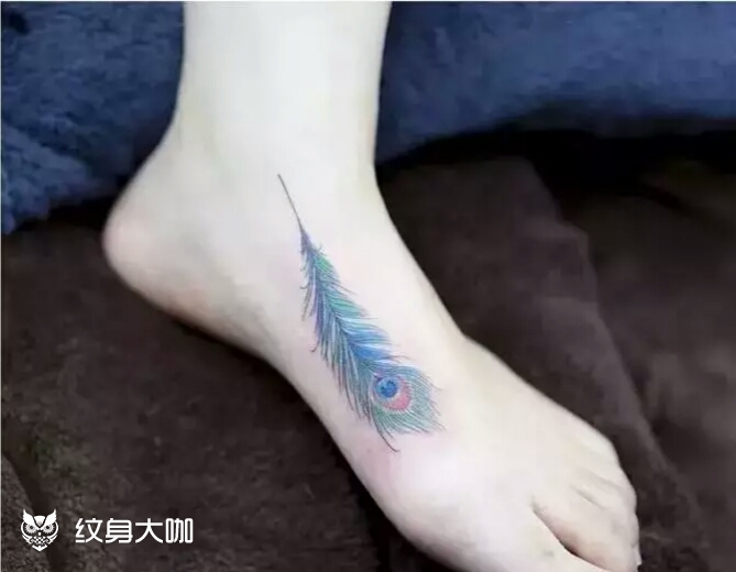 孔雀翎羽_纹身图案手稿图片_tattoo张俊伟的纹身作品集