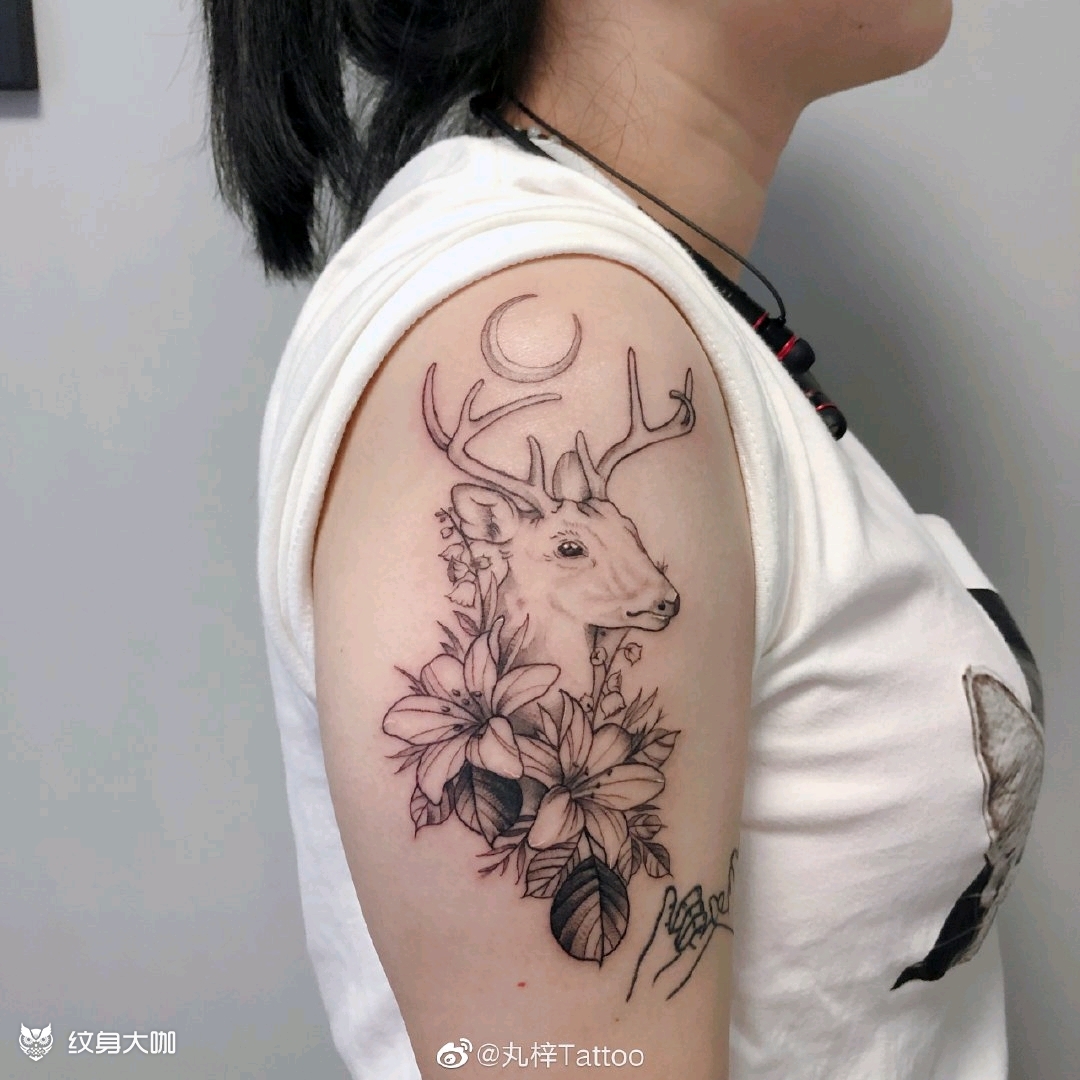 清新小鹿_纹身图案手稿图片_丸梓的纹身作品集