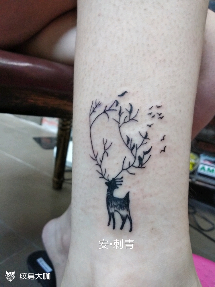 脚踝,梅花鹿_纹身图案手稿图片_王军的纹身作品集