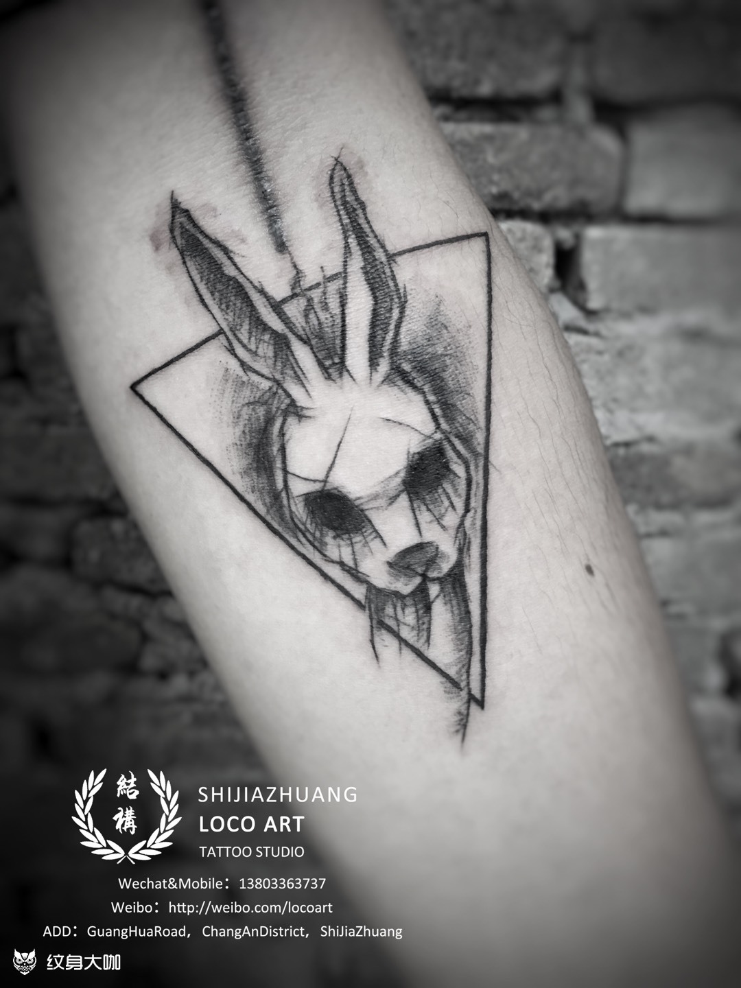 黑客帝国 兔子纹身图片