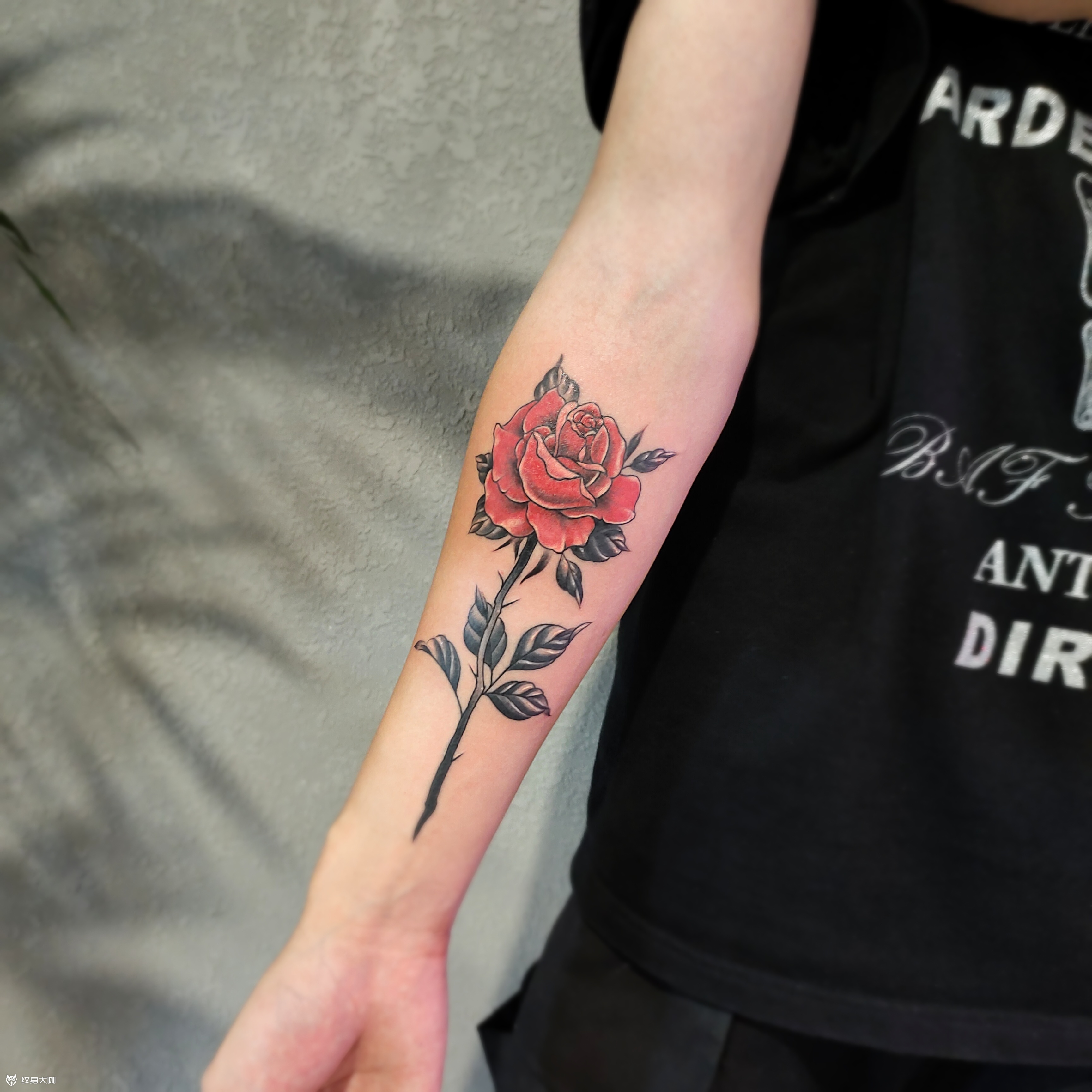 玫瑰_纹身图案手稿图片_ 志恒的纹身作品集