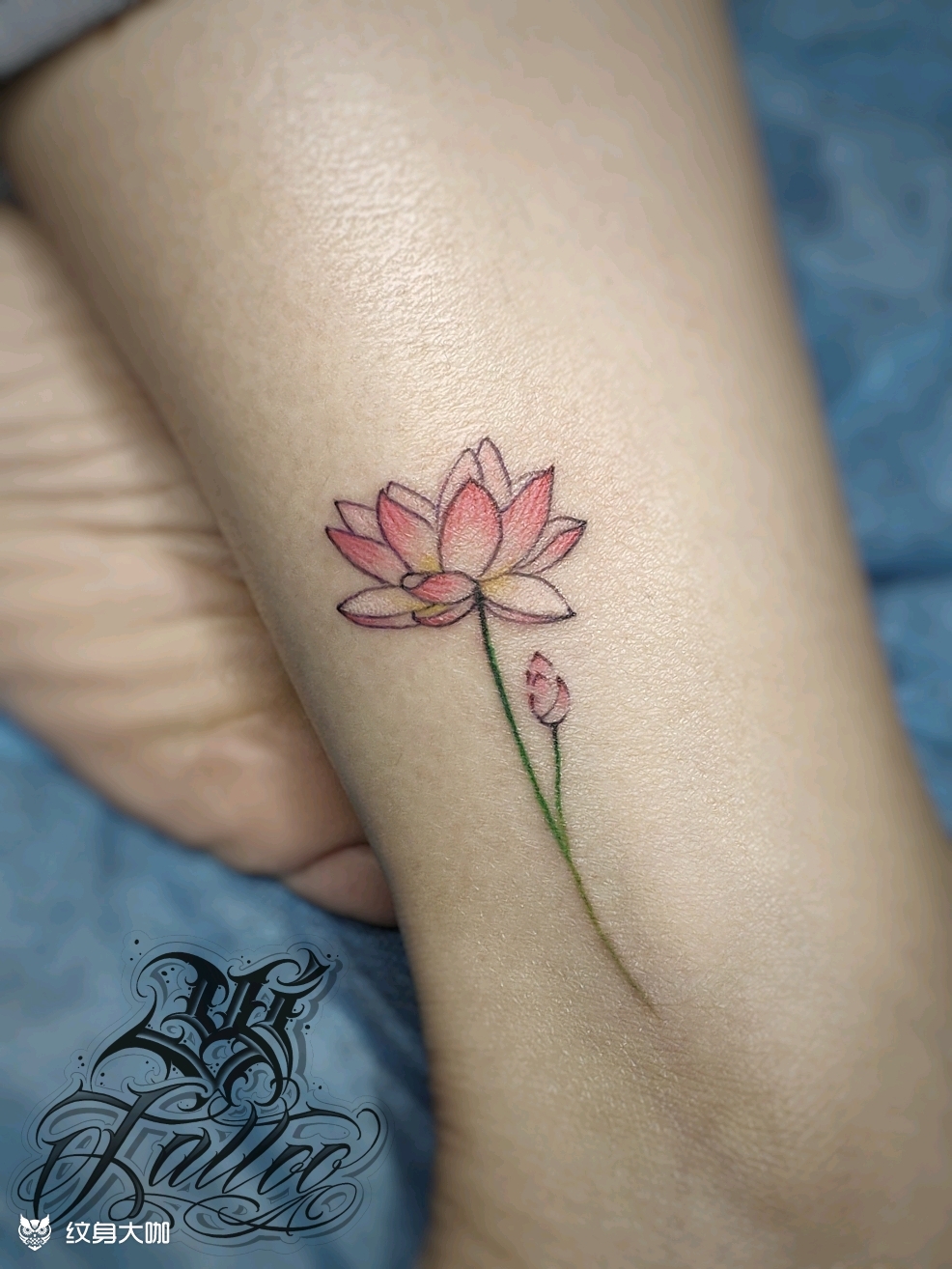 莲_纹身图案手稿图片_张诚的纹身作品集