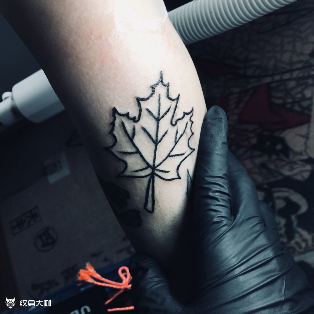 枫叶_纹身图案手稿图片_炸药的纹身作品集