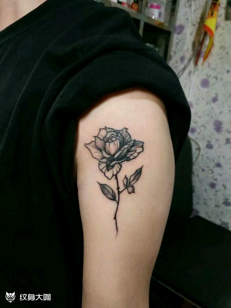 黑玫瑰_纹身图案手稿图片_文身师95tan的纹身作品集