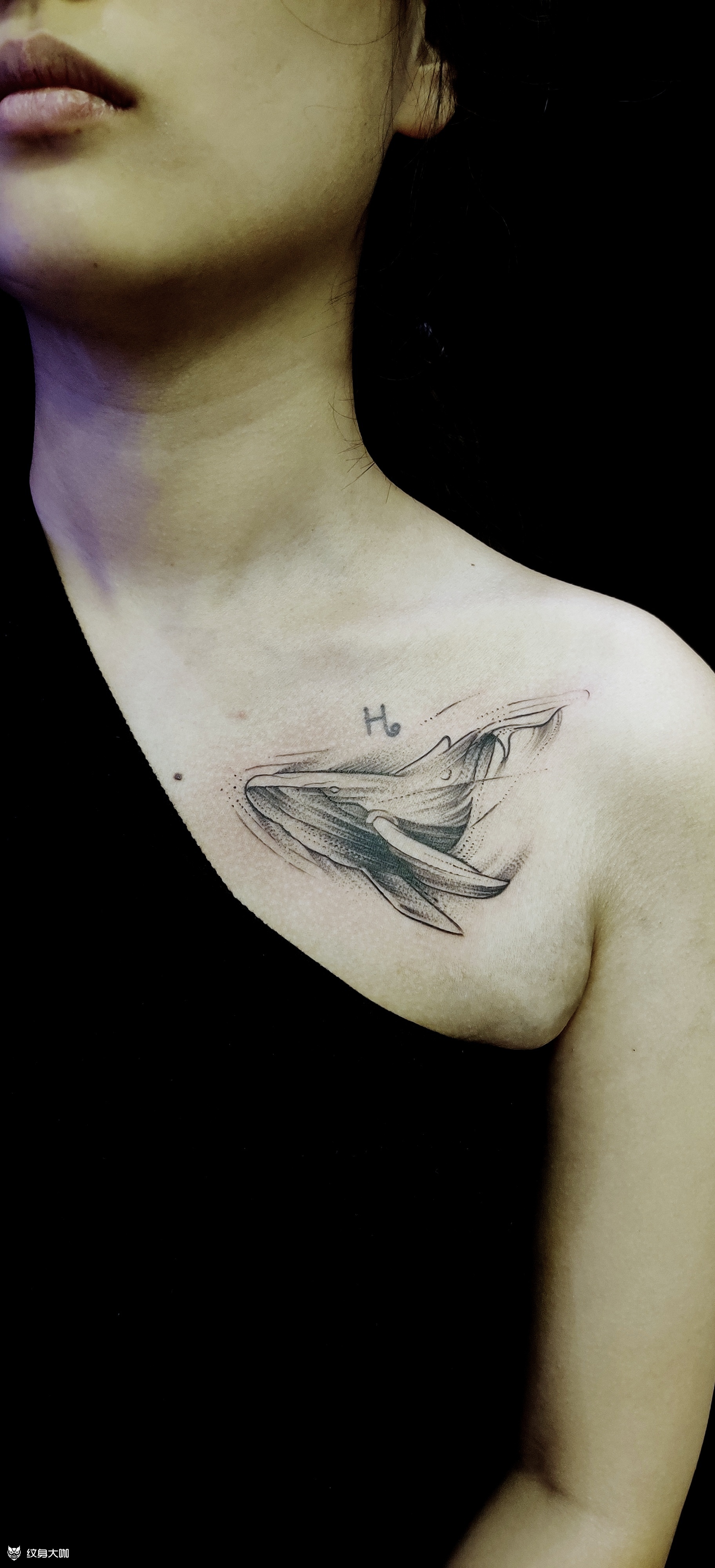锁骨鲸鱼_纹身图案手稿图片_杰～～～的纹身作品集