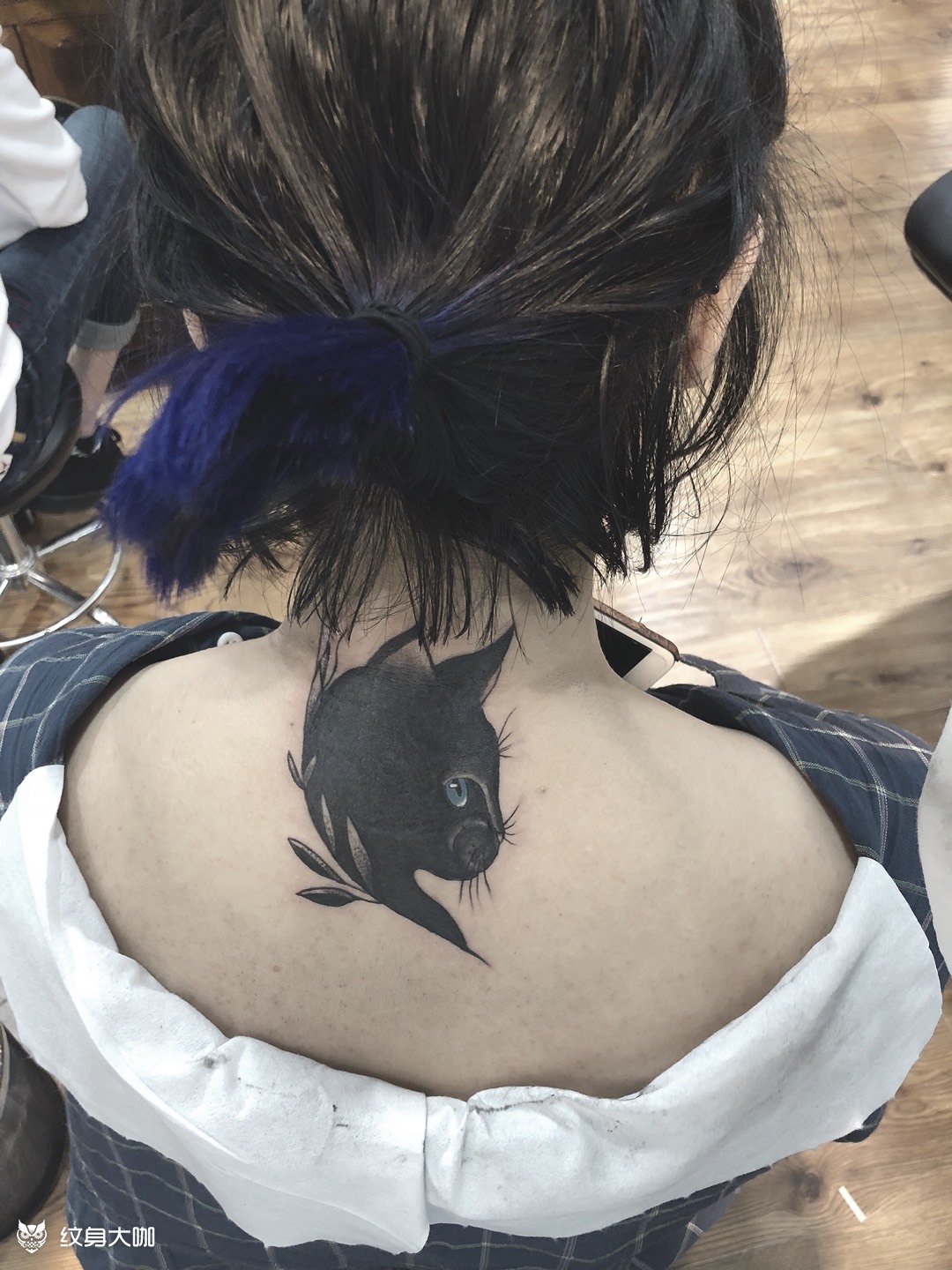 猫咪遮盖_纹身图案手稿图片_大猫的纹身作品集