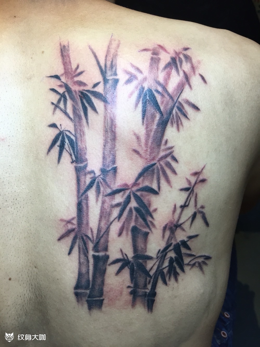 后背小竹林_纹身图案手稿图片_刘星灿的纹身作品集