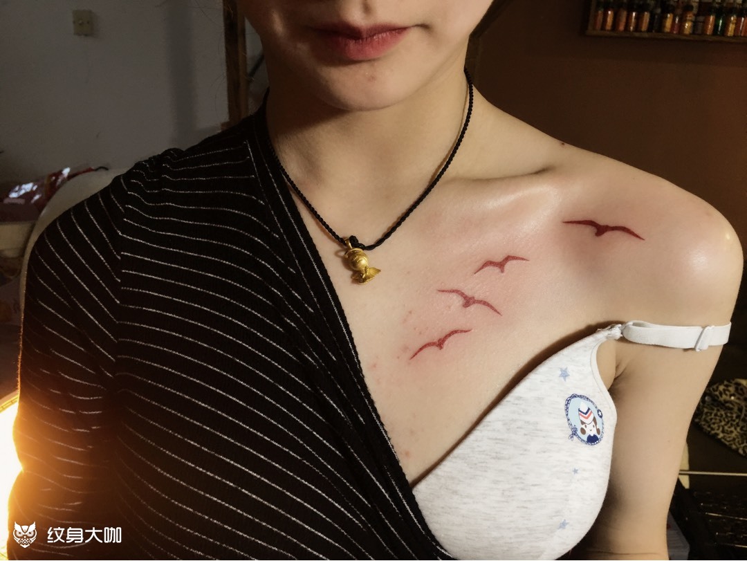 海鸥_纹身图案手稿图片_李蒙的纹身作品集