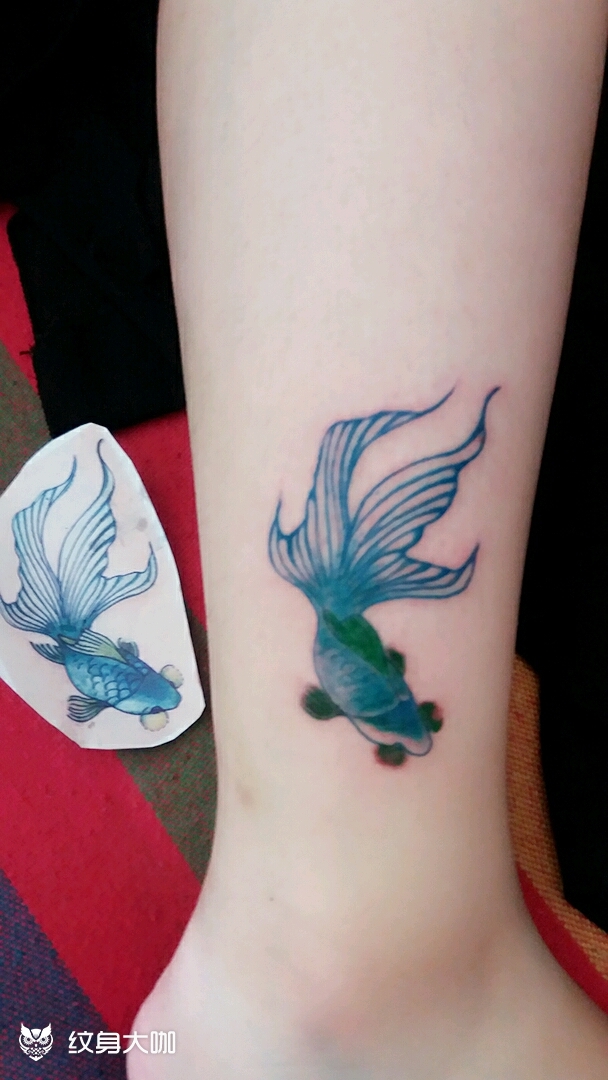 小腿金鱼一条_纹身图案手稿图片_鱼刺tattoo的纹身作品集