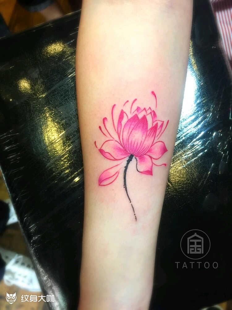 彩色荷花_纹身图案手稿图片_鹏少的纹身作品集