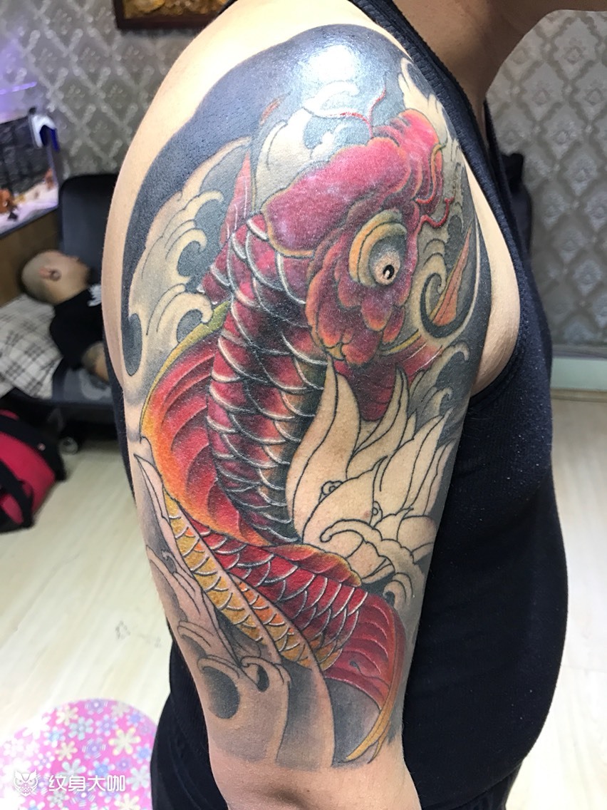一个遮盖大鲤鱼,还在恢复中,下次完结_纹身图案手稿图片_屈杨的纹身