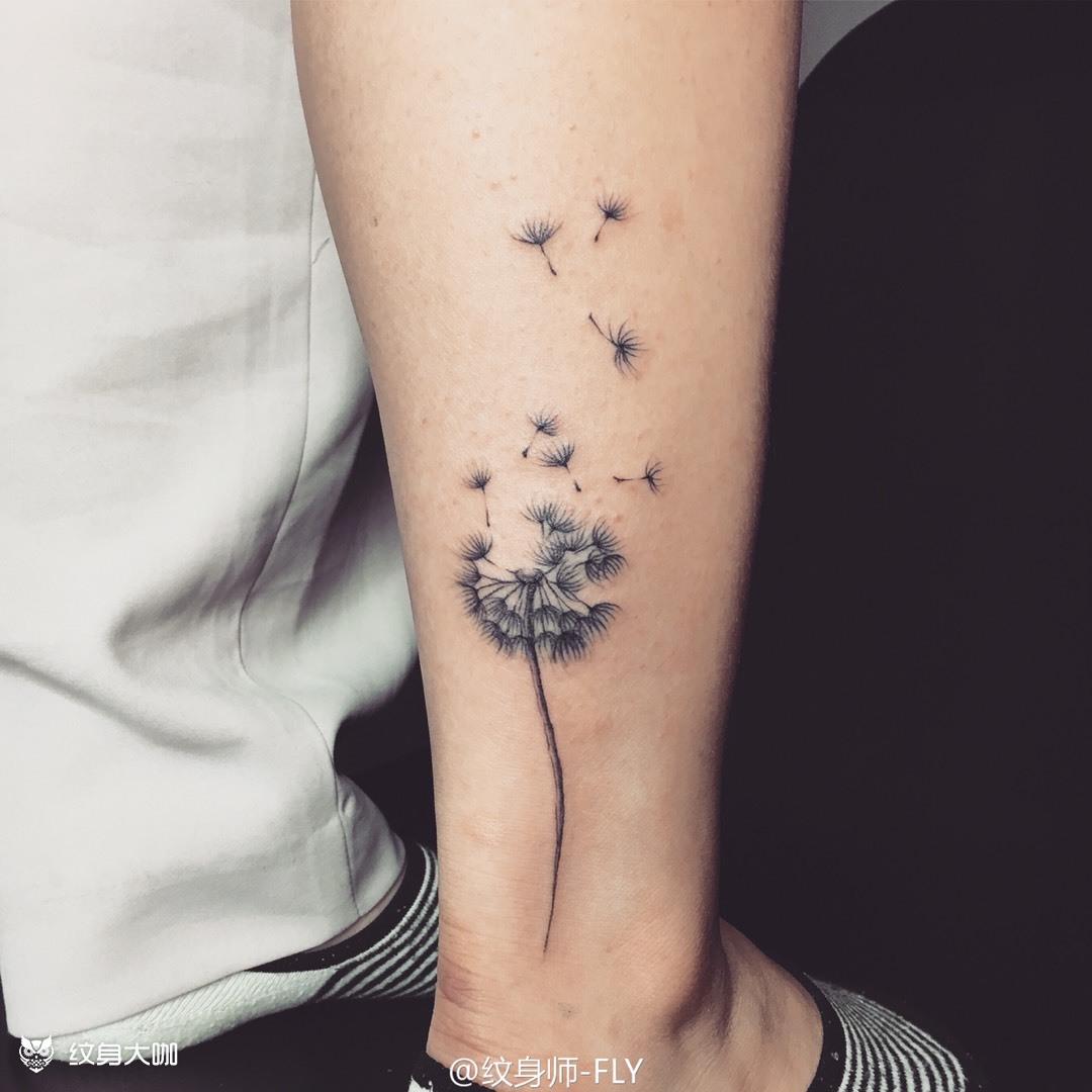 小腿后侧蒲公英_纹身图案手稿图片_fly的纹身作品集