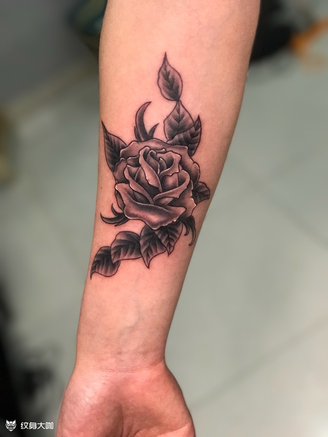 玫瑰花_纹身图案手稿图片_阿龙的纹身作品集