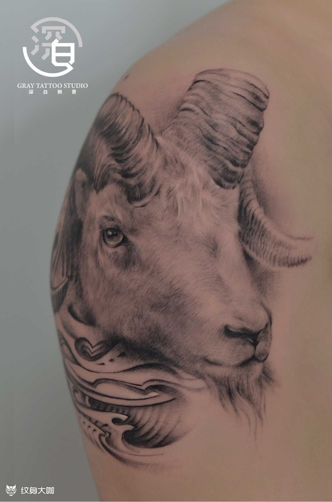 羊首_纹身图案手稿图片_镯镯的纹身作品集