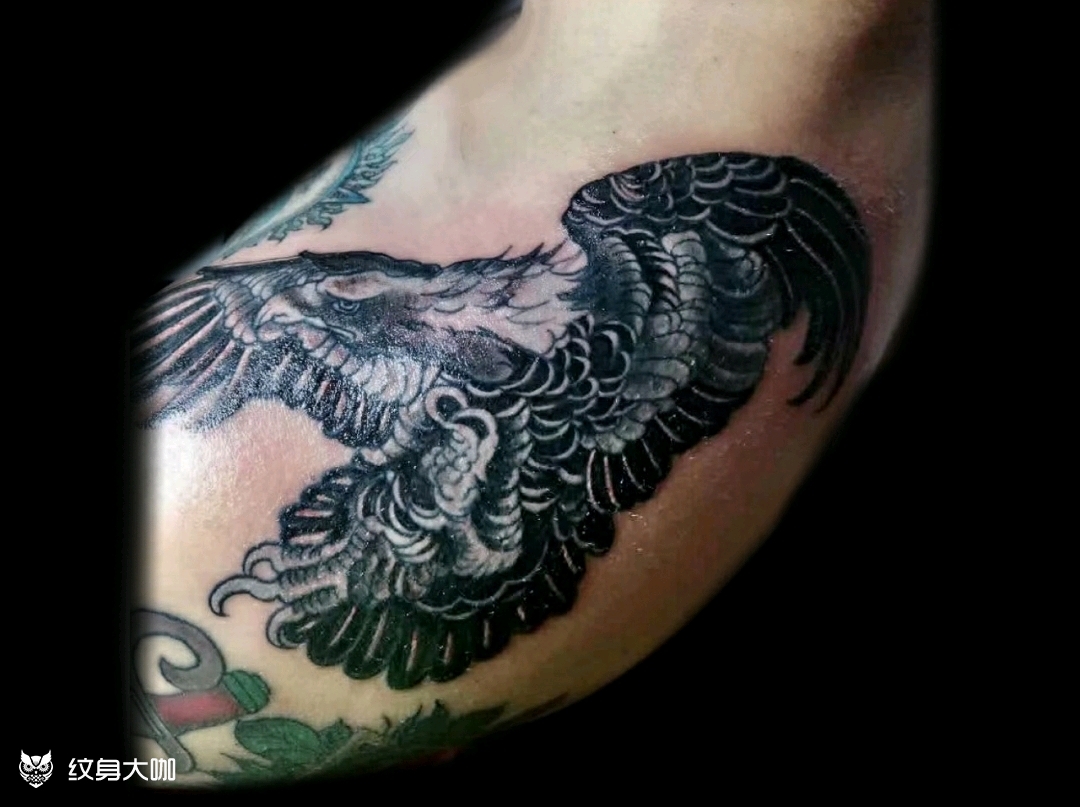 鹰_纹身图案手稿图片_superstar-k的纹身作品集