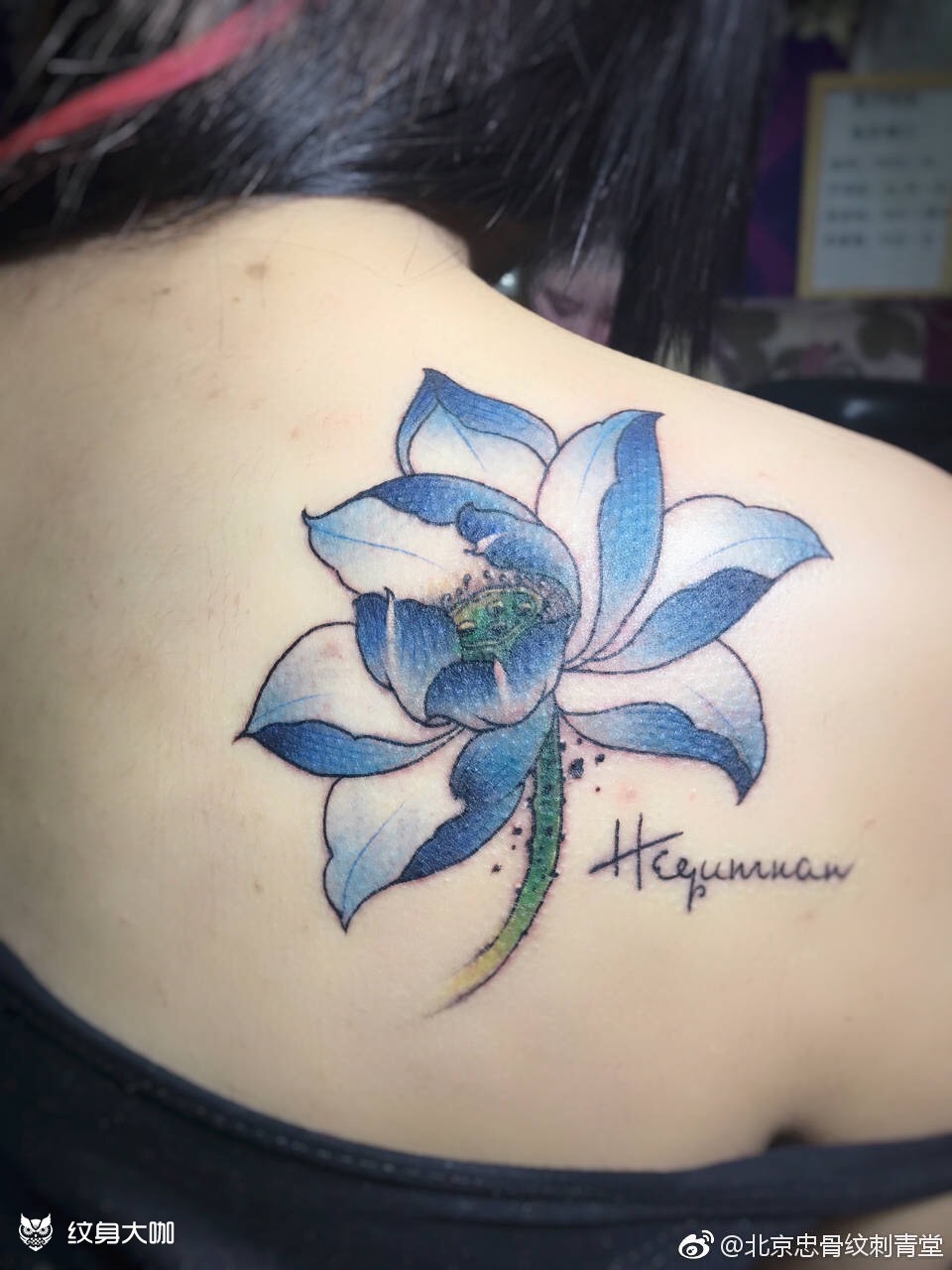 荷花_纹身图案手稿图片_郭欣的纹身作品集