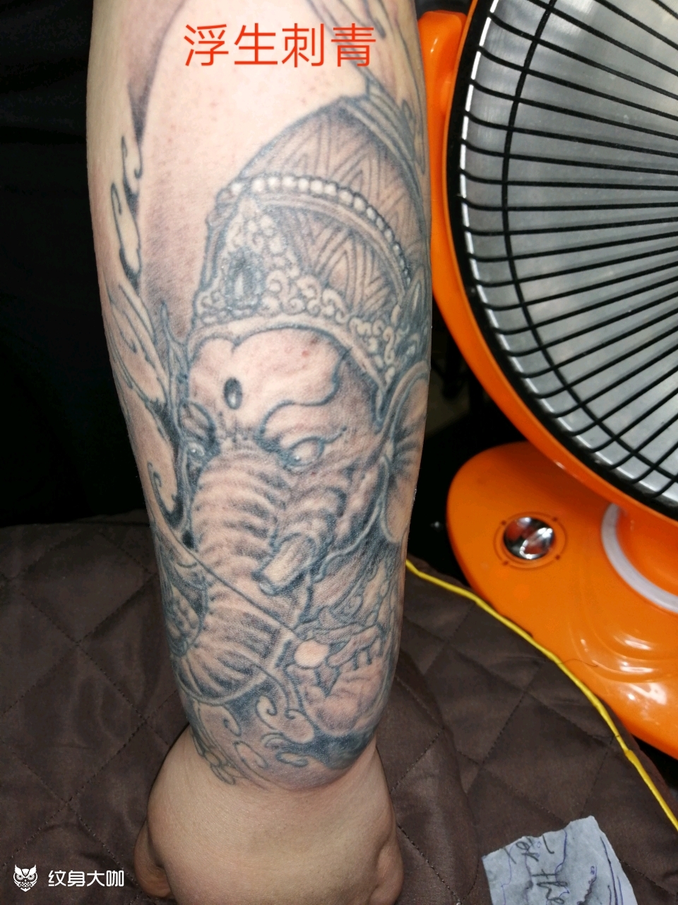 小臂象神修改上色