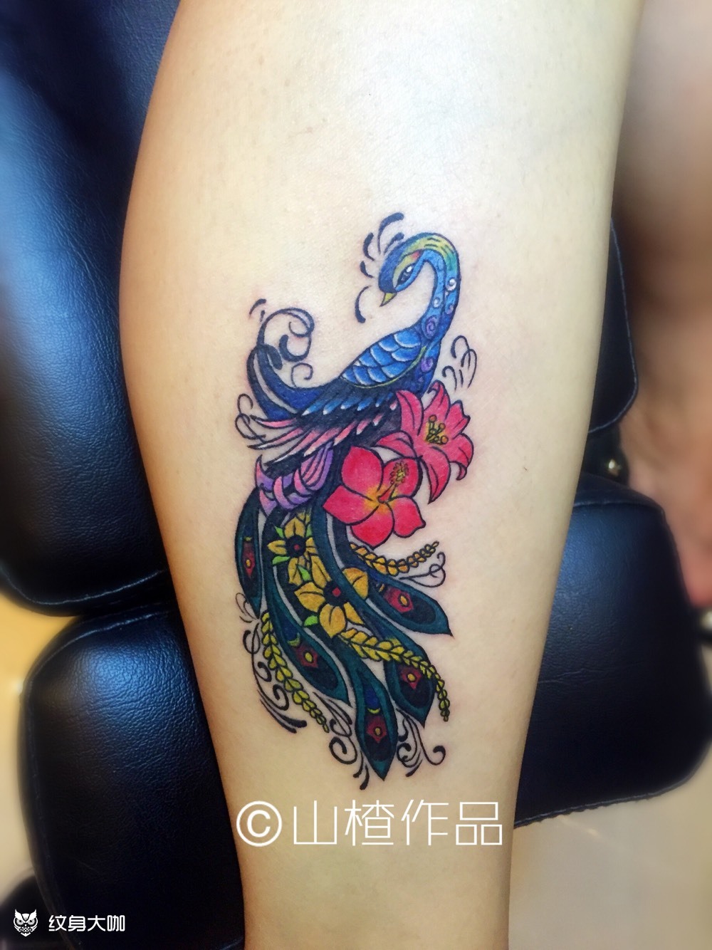 孔雀_纹身图案手稿图片_山楂的纹身作品集