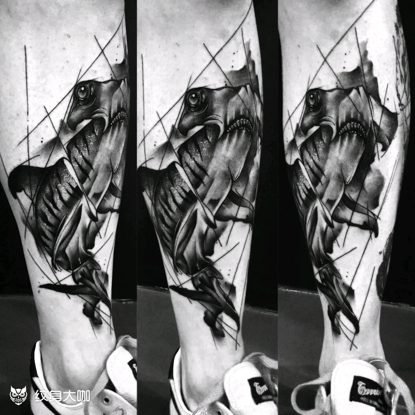 锤头鲨_纹身图案手稿图片_tao的纹身作品集