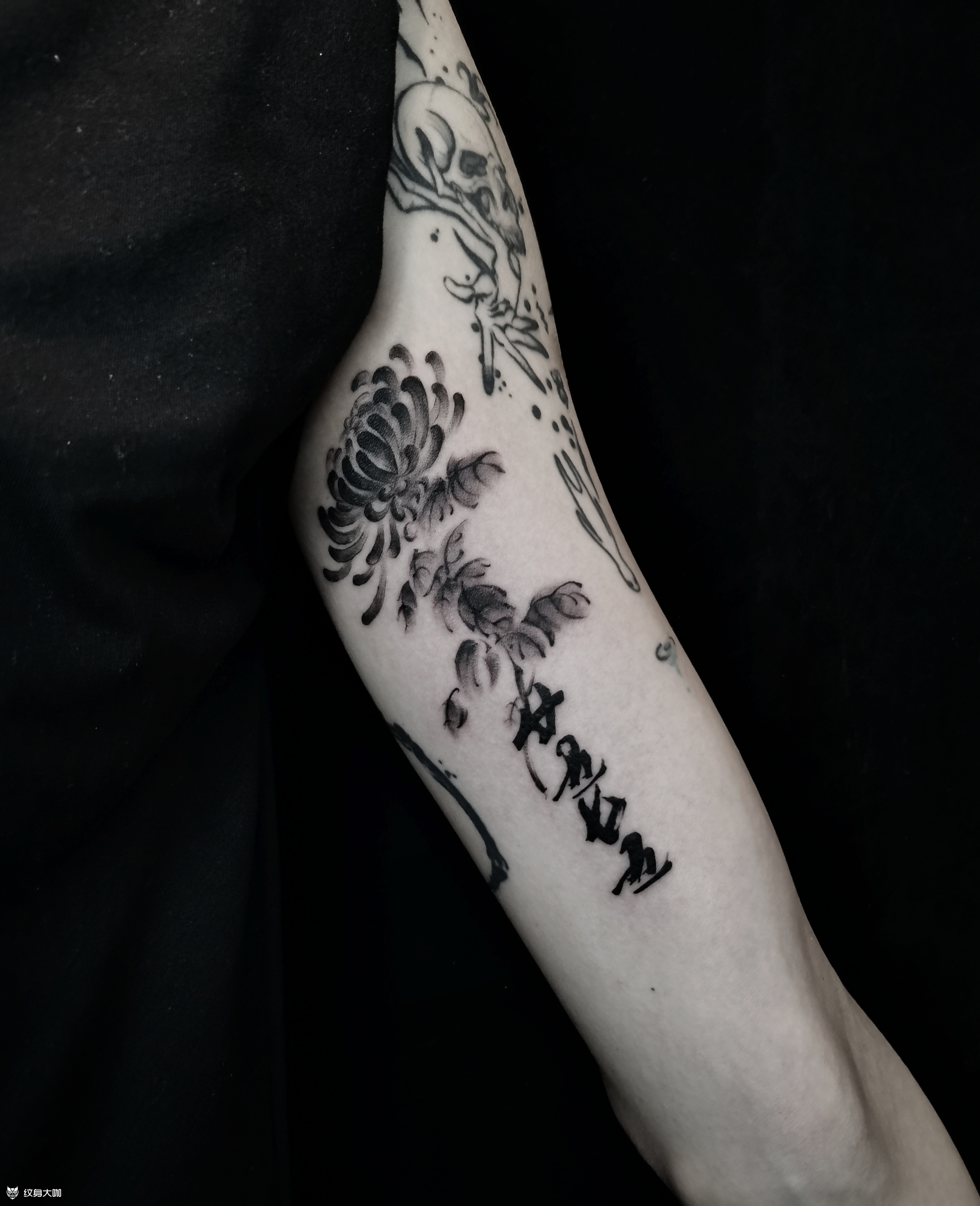 黑菊2575_纹身图案手稿图片_阿拓的纹身作品集