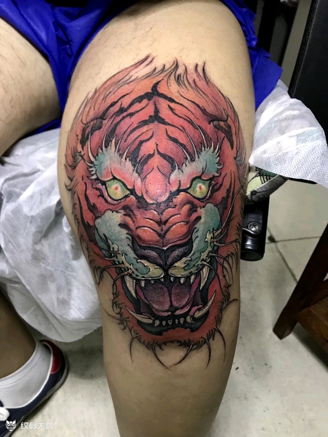 膝盖老虎_纹身图案手稿图片_极一龙的纹身作品集