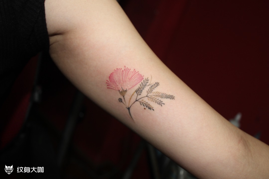 合欢花_纹身图案手稿图片_李庆 泸州巫鸦的纹身作品集