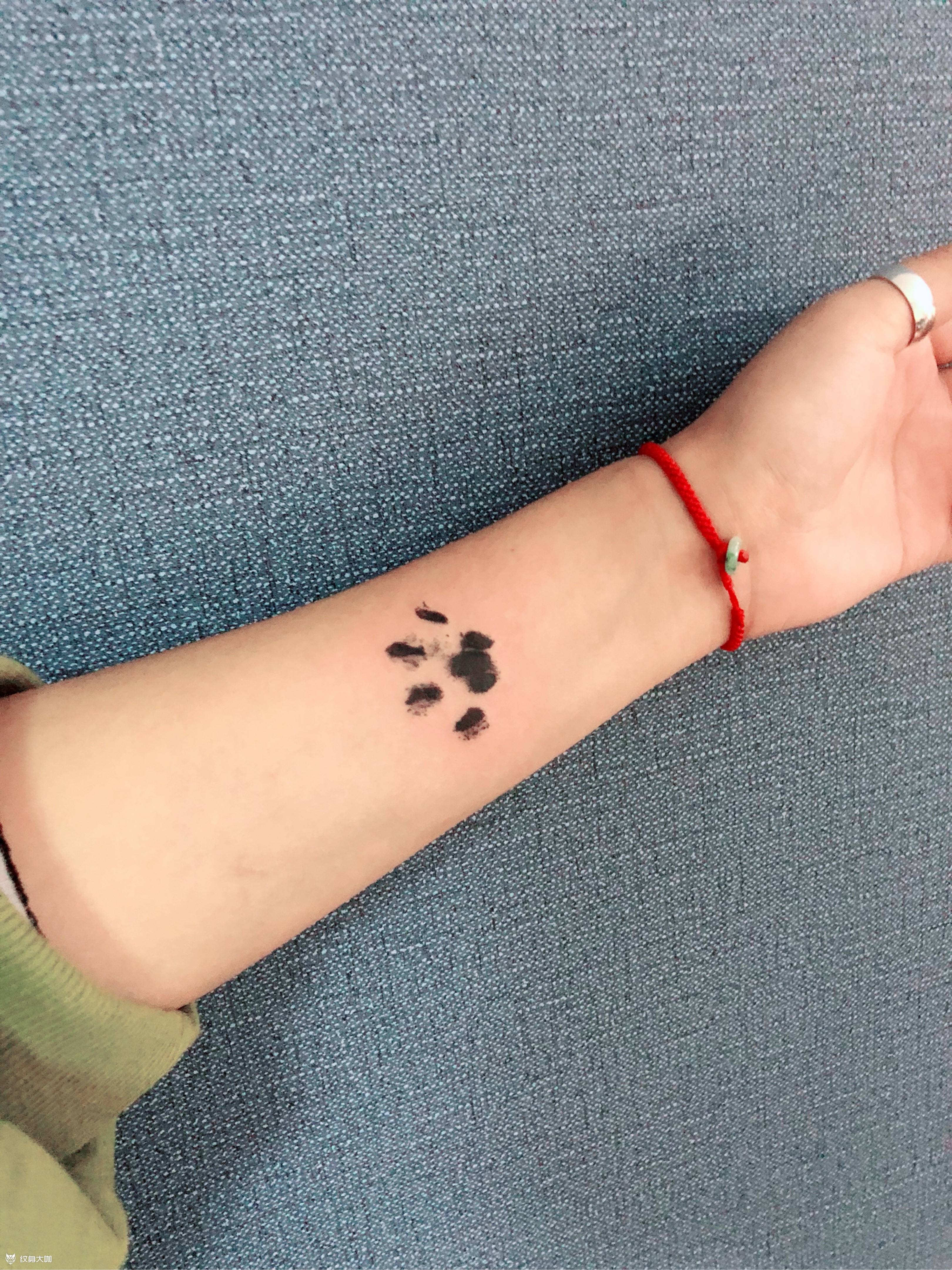 猫抓印_纹身图案手稿图片_bin的纹身作品集