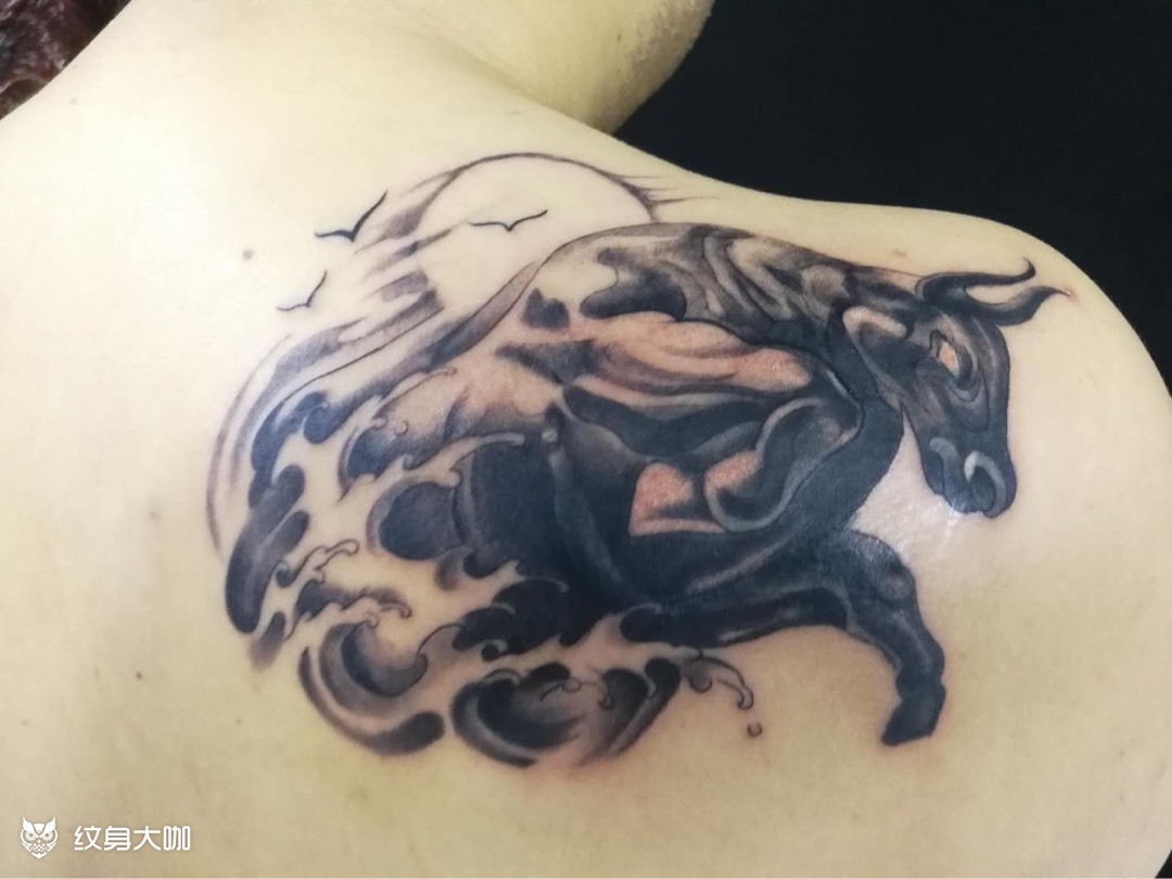 牛_纹身图案手稿图片_雕勇的纹身作品集