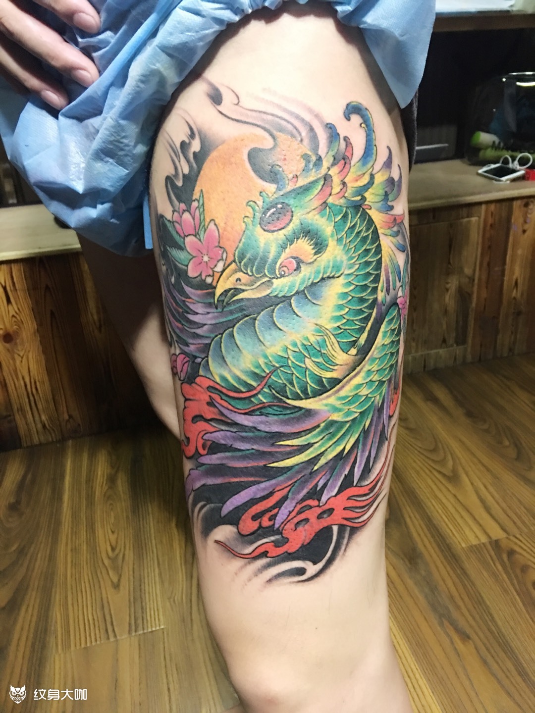 朱雀遮盖_纹身图案手稿图片_道格tattoo的纹身作品集