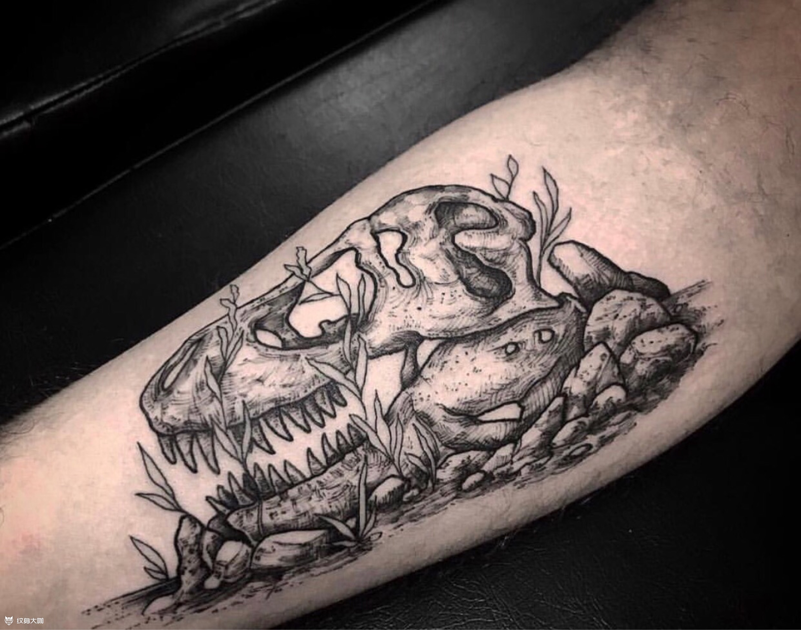 恐龙_纹身图案手稿图片_左二娃的纹身作品集