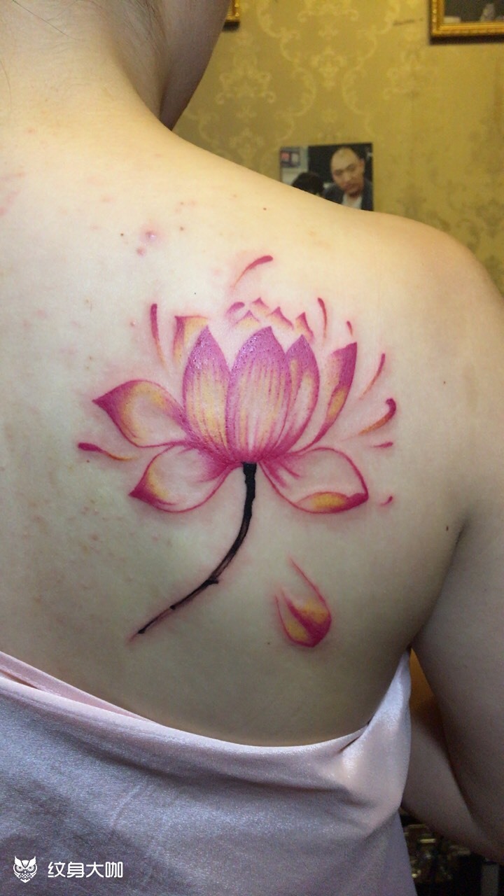 美女后肩荷花_纹身图案手稿图片_李胜的纹身作品集