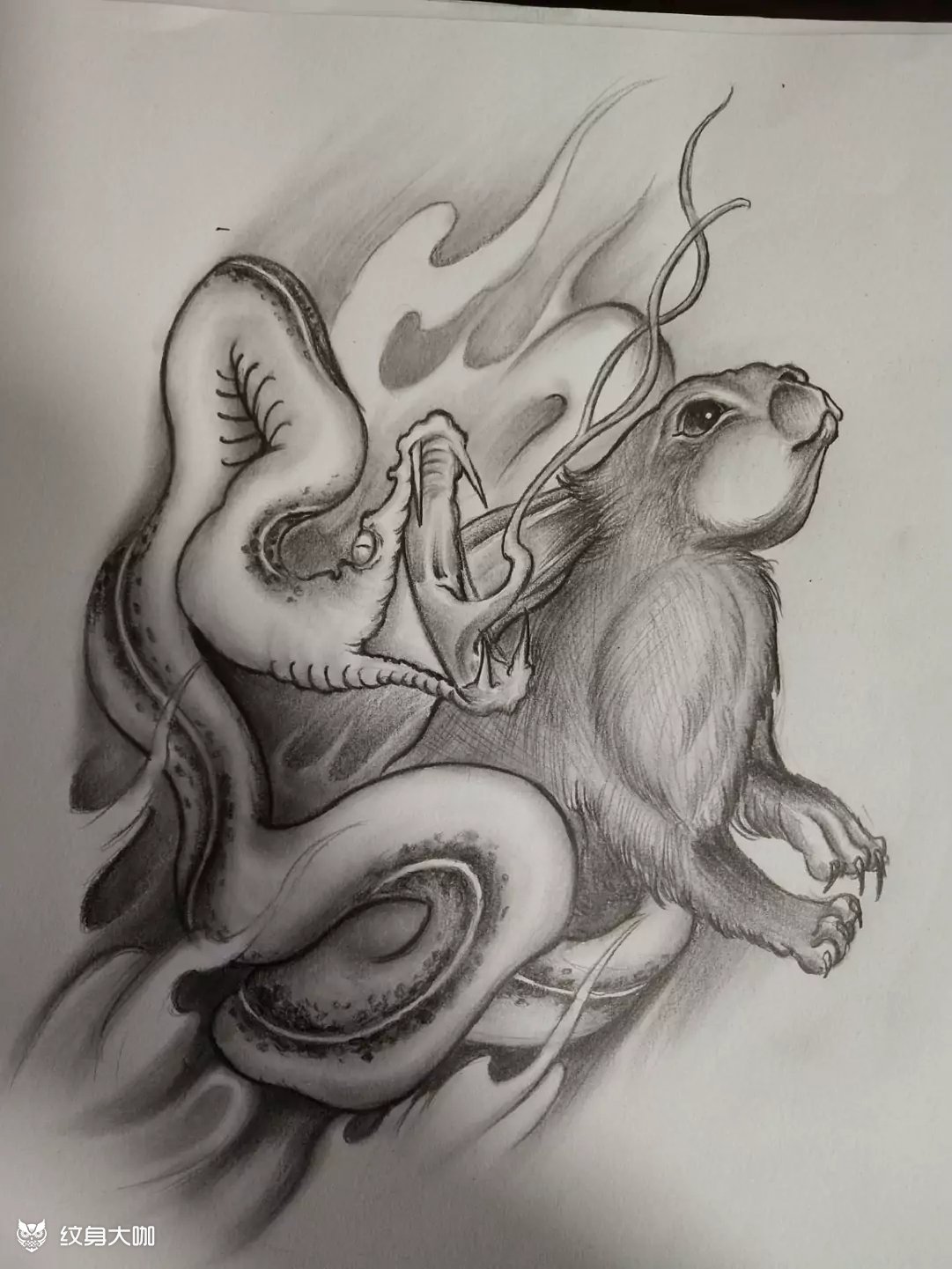 蛇盘兔_纹身图案手稿图片_墨客纹画的纹身作品集