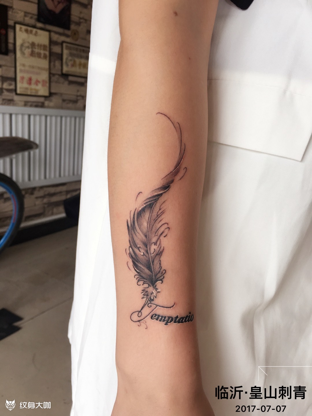 小臂羽毛_纹身图案手稿图片_明皓的纹身作品集
