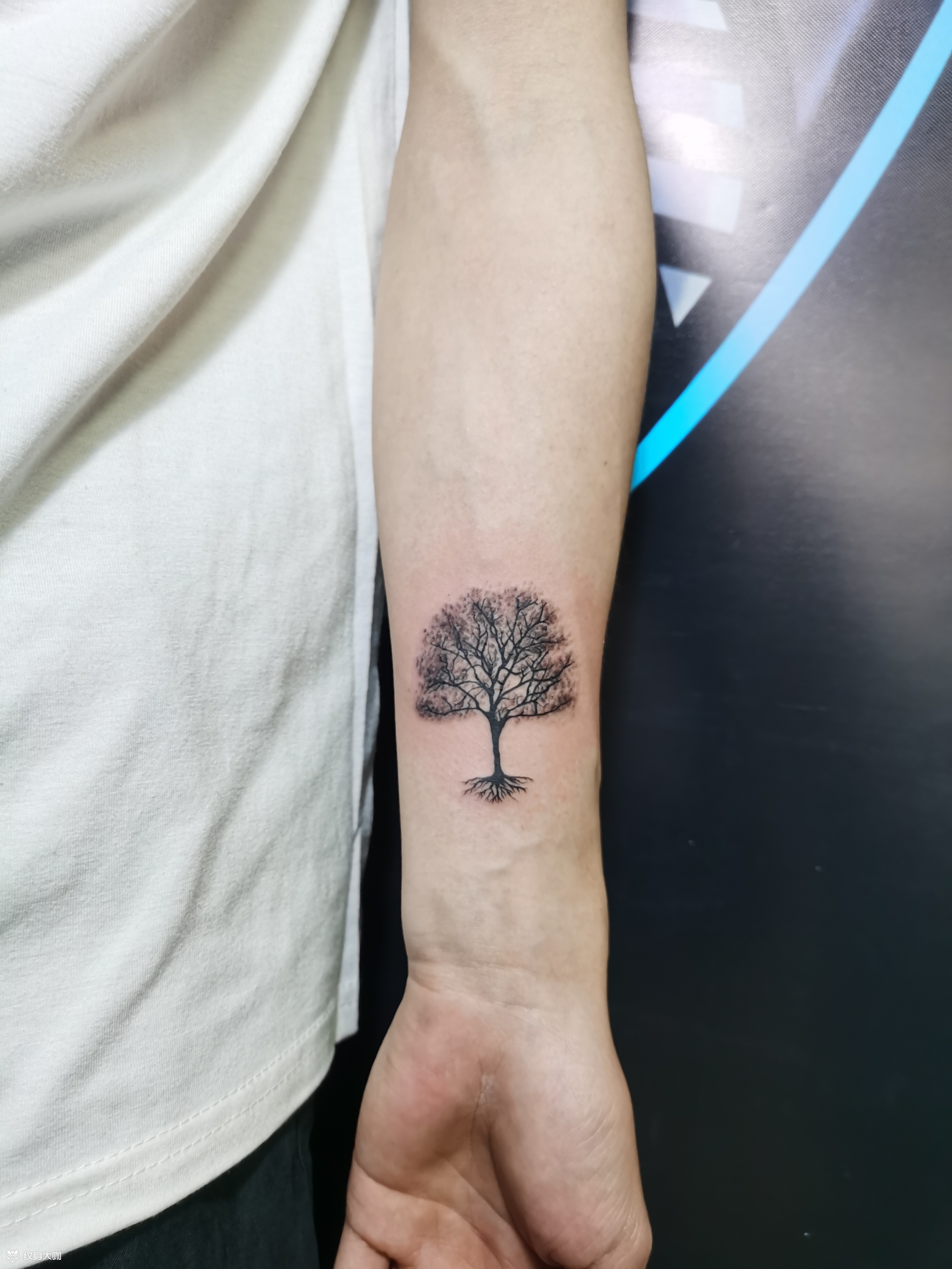 一棵树_纹身图案手稿图片_赤艺的纹身作品集