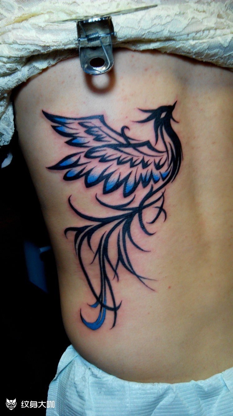 图腾凤凰_纹身图案手稿图片_老方的纹身作品集