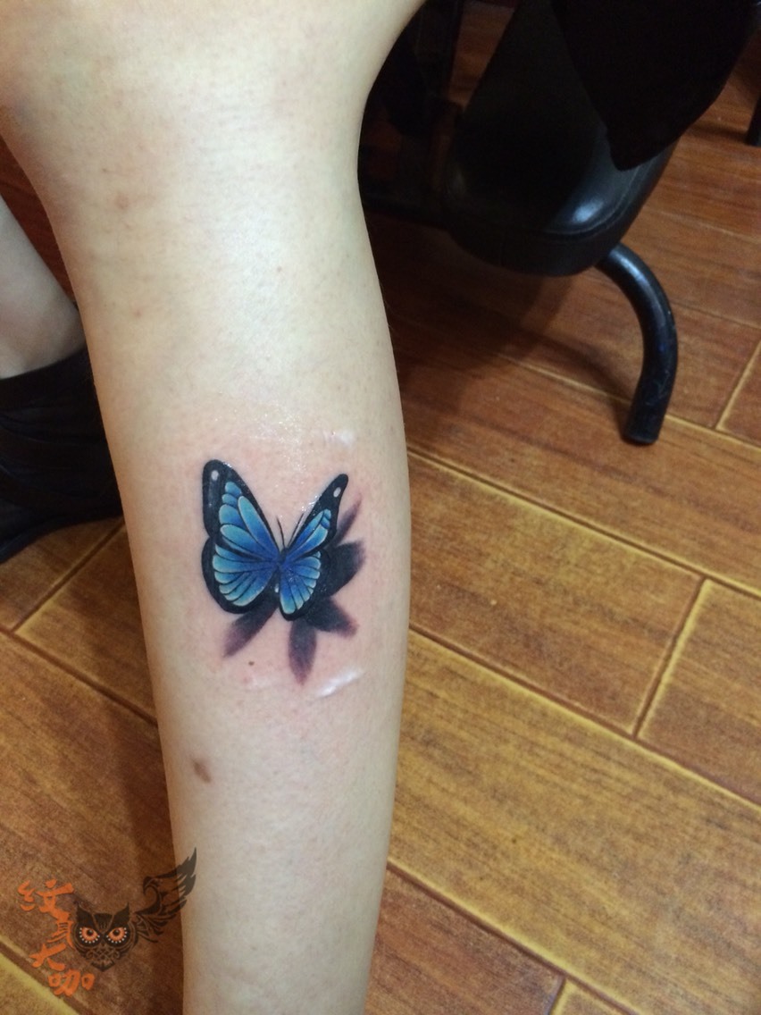 3d蝴蝶遮盖疤痕_纹身图案手稿图片_629-vk 的纹身作品集