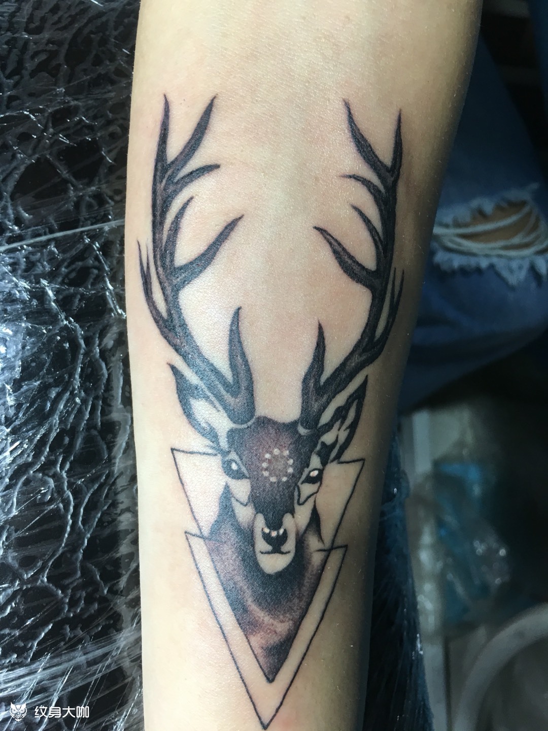 小鹿_纹身图案手稿图片_张曦的纹身作品集