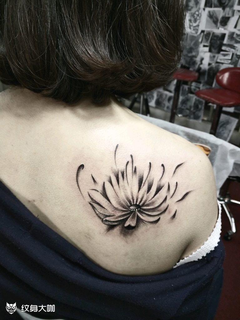 后背菊花_纹身图案手稿图片_谨诚纹艺的纹身作品集