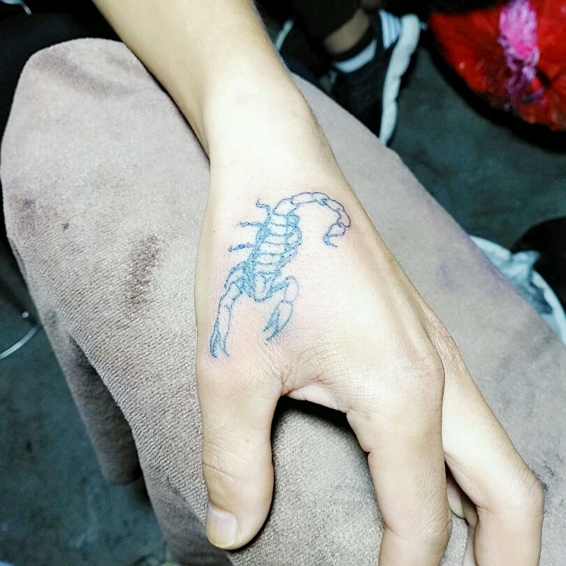小蝎子_纹身图案手稿图片_刘莉的纹身作品集