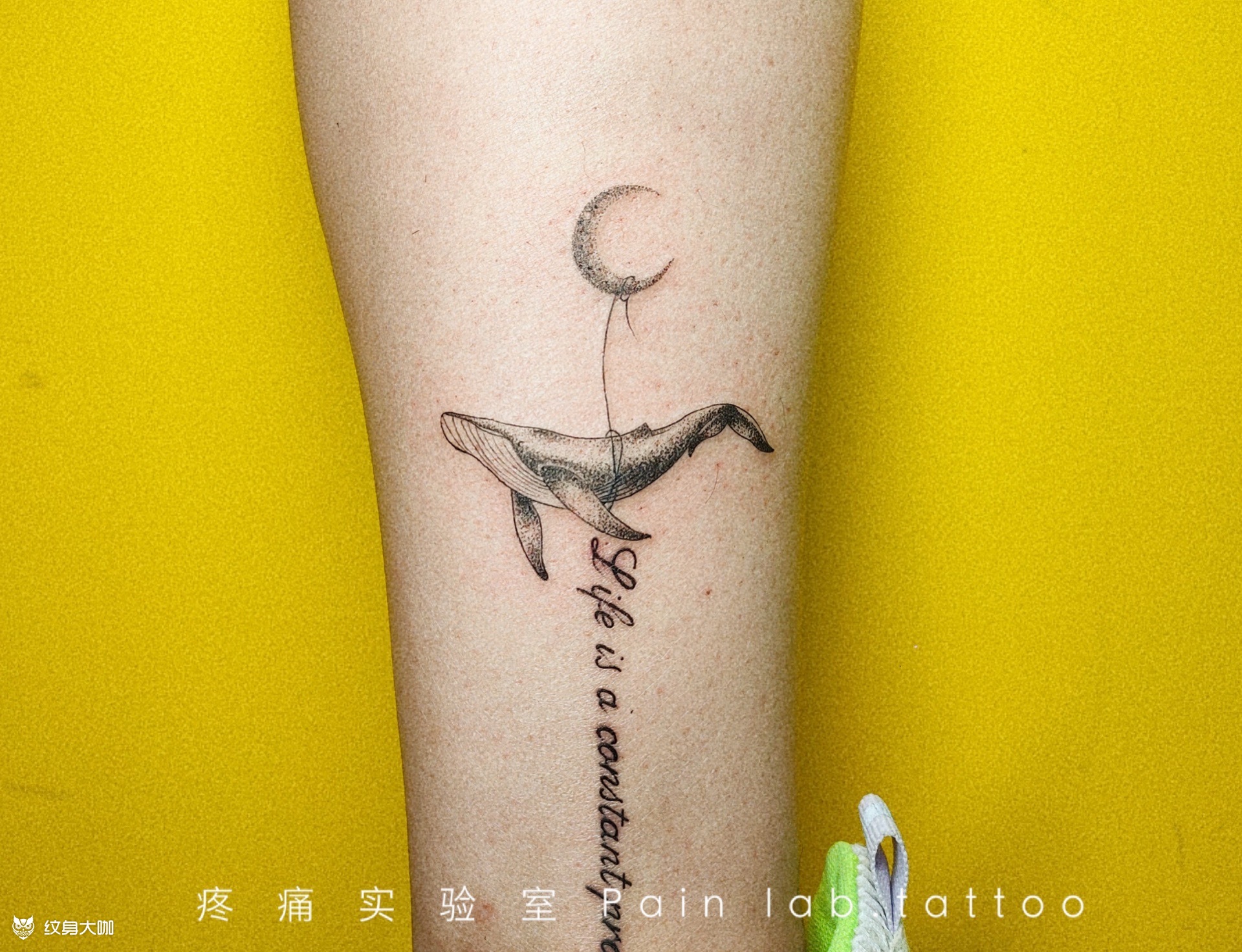 点刺鲸鱼_纹身图案手稿图片_文武双拳才是斌的纹身作品集