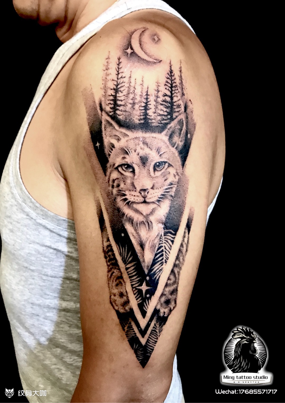 山猫_纹身图案手稿图片_青岛大ming的纹身作品集