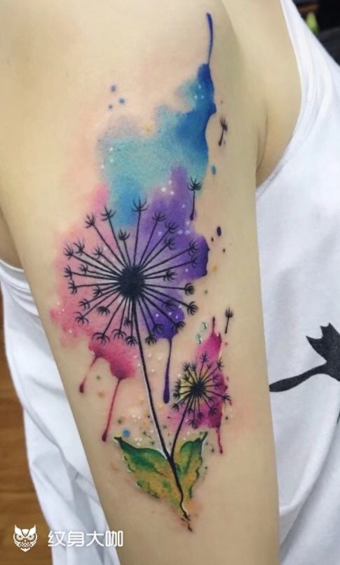 蒲公英_纹身图案手稿图片_镹 one的纹身作品集