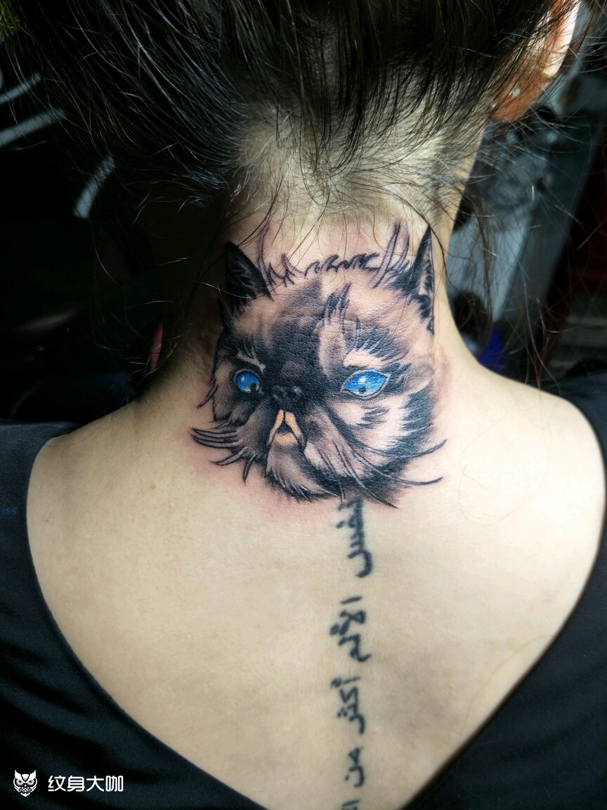 猫头_纹身图案手稿图片_王清的纹身作品集