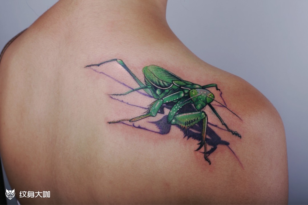 螳螂_纹身图案手稿图片_九卦的纹身作品集