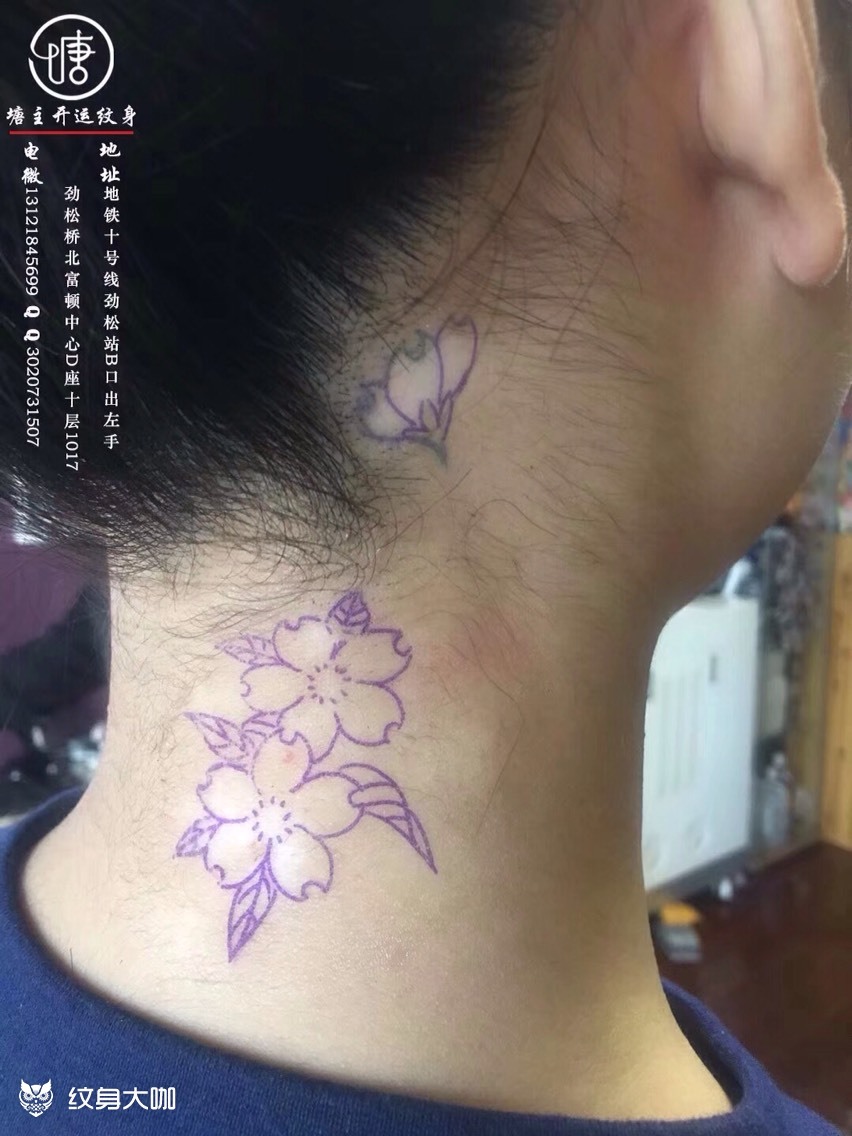 樱花遮盖_纹身图案手稿图片_开运的纹身作品集