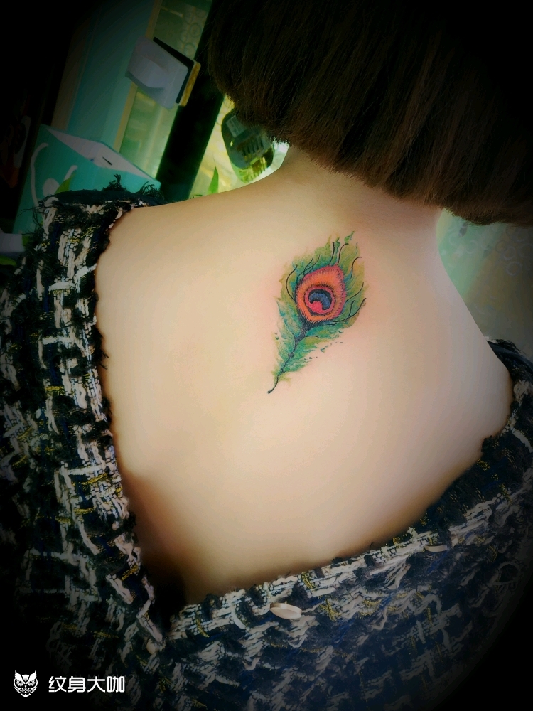 孔雀羽毛_纹身图案手稿图片_大虎的纹身作品集