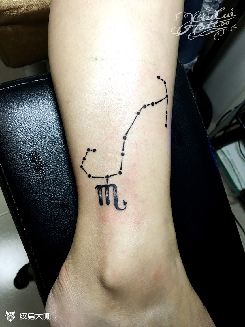 今天的脚踝天蝎座_纹身图案手稿图片_l3s的纹身作品集